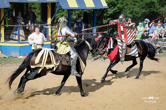 RenFaire-184