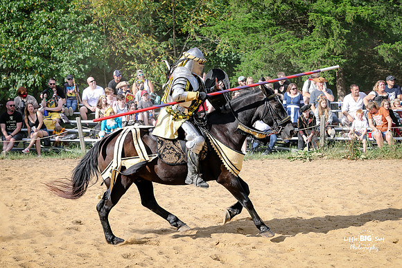 RenFaire-183