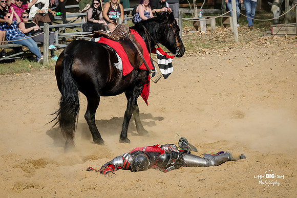 RenFaire-186