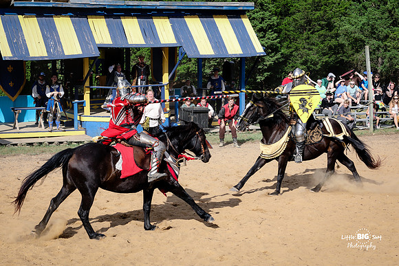 RenFaire-185