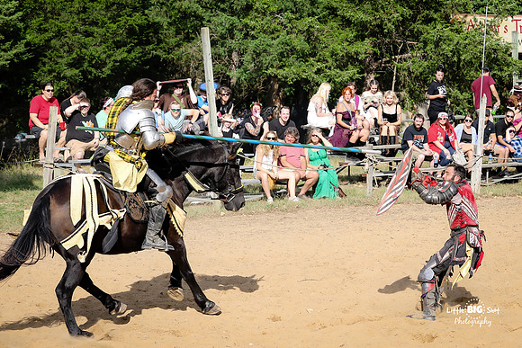 RenFaire-188