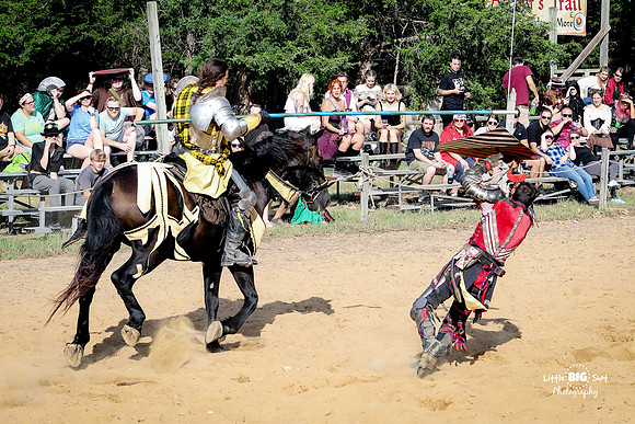 RenFaire-190