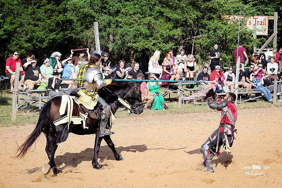 RenFaire-189