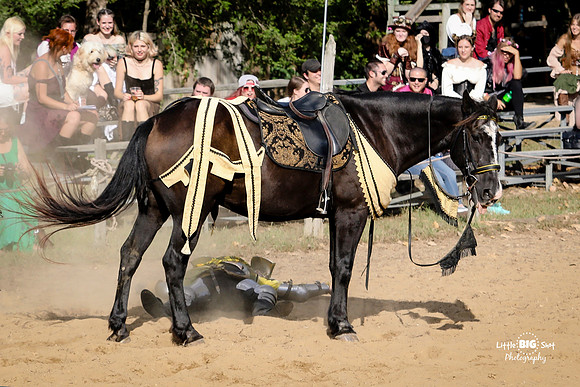 RenFaire-197a