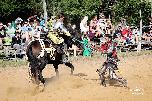 RenFaire-196