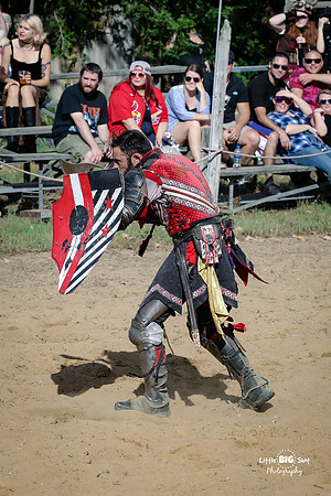 RenFaire-198