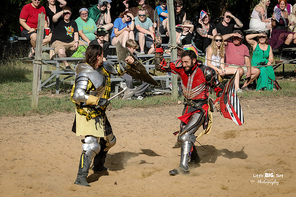 RenFaire-199