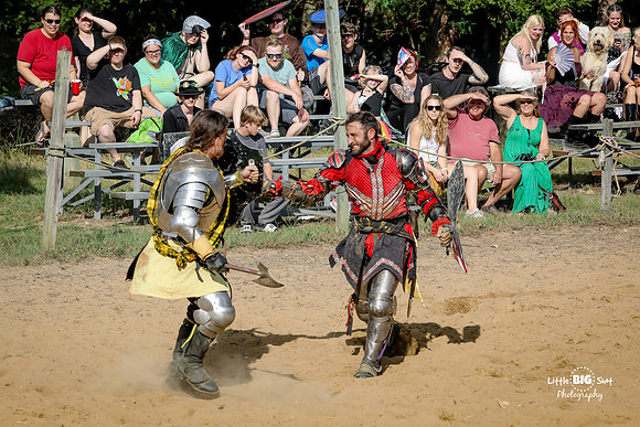 RenFaire-200