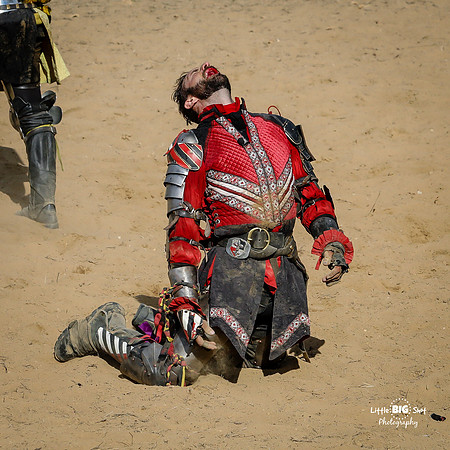 RenFaire-221