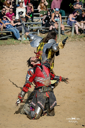 RenFaire-219