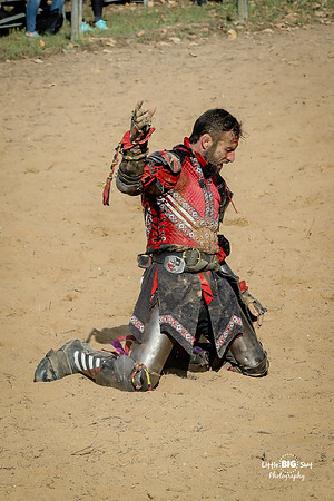 RenFaire-225