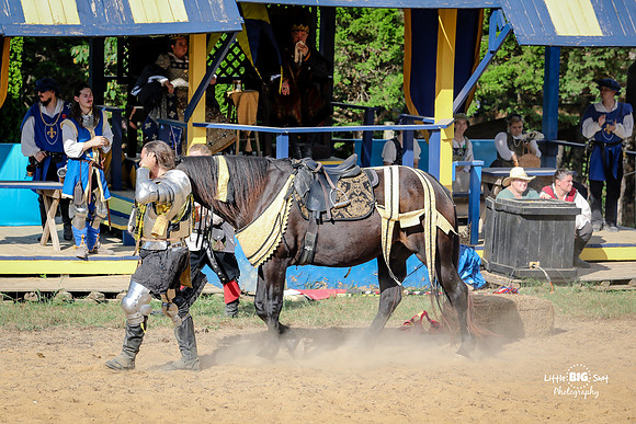 RenFaire-226