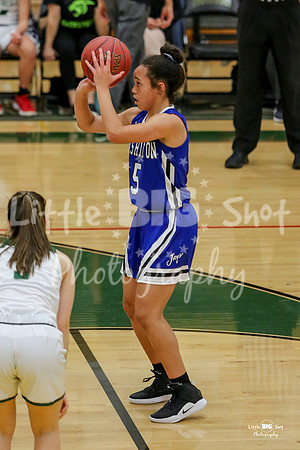 FZN-Wash-28