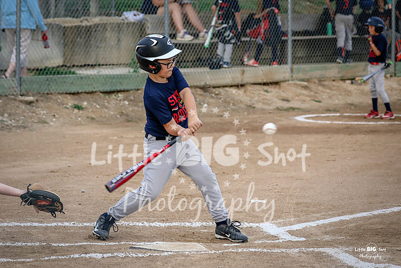 RedBirds-03