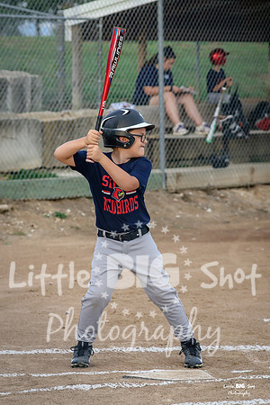 RedBirds-02