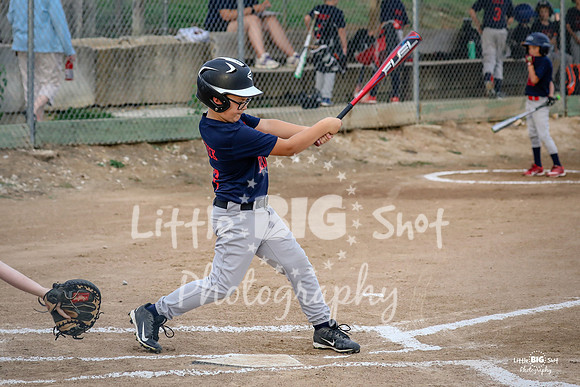 RedBirds-04