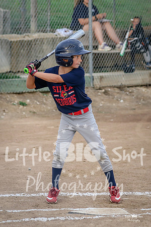 RedBirds-06