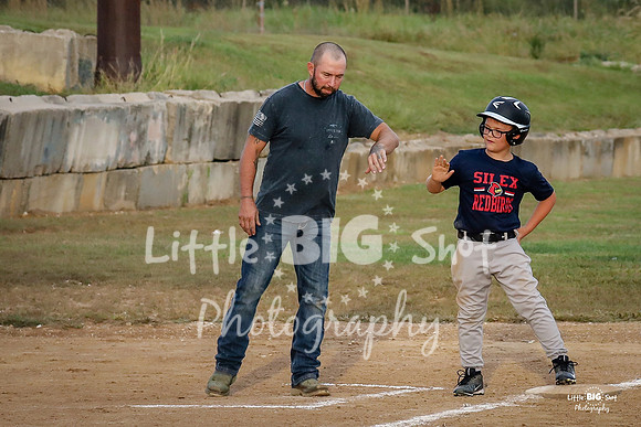 RedBirds-08