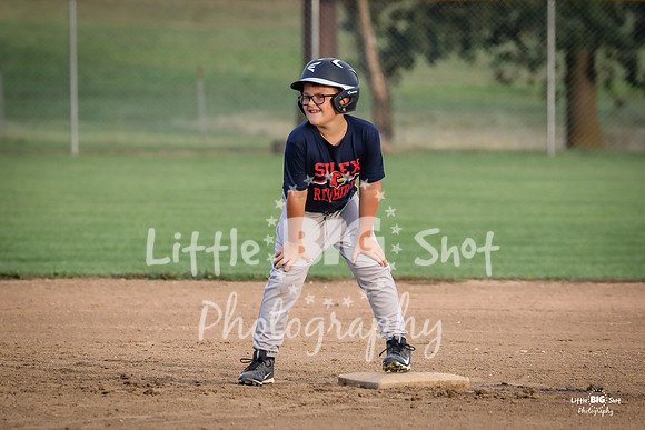 RedBirds-07