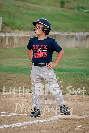 RedBirds-08three