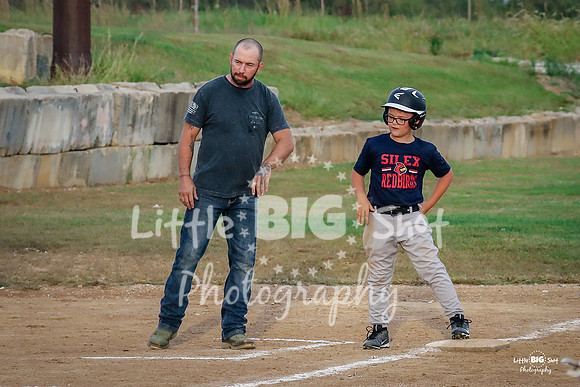 RedBirds-08two