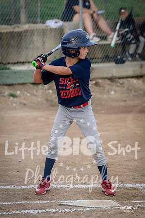 RedBirds-09