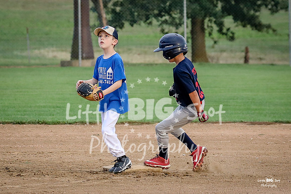 RedBirds-11