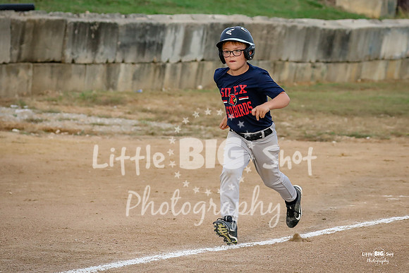 RedBirds-12