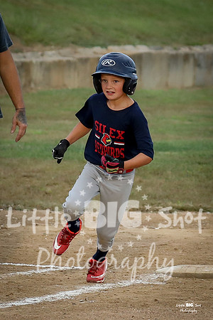 RedBirds-14