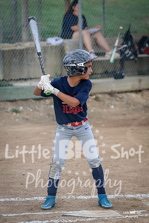 RedBirds-10