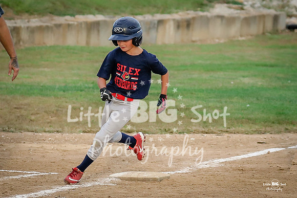 RedBirds-13