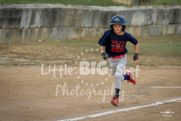 RedBirds-15