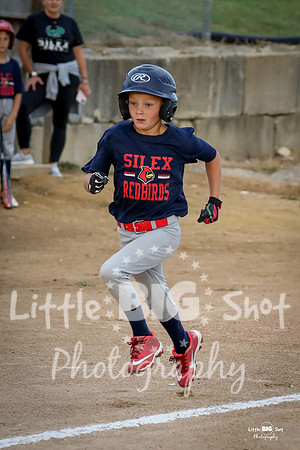 RedBirds-16