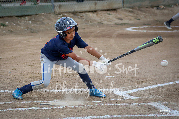 RedBirds-19