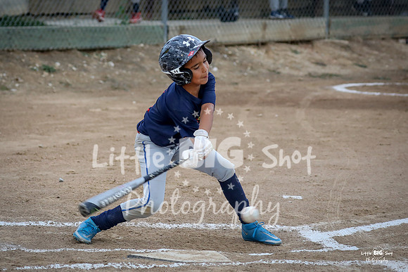 RedBirds-18