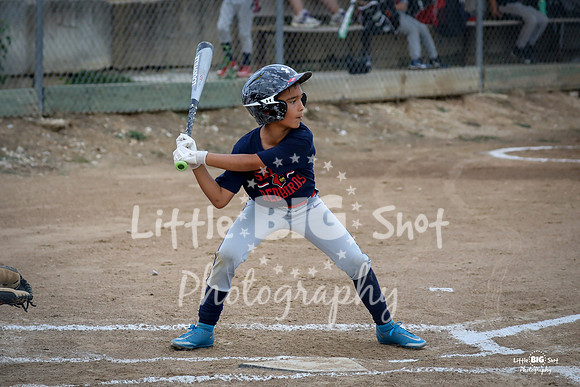 RedBirds-17