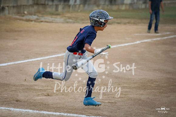 RedBirds-20