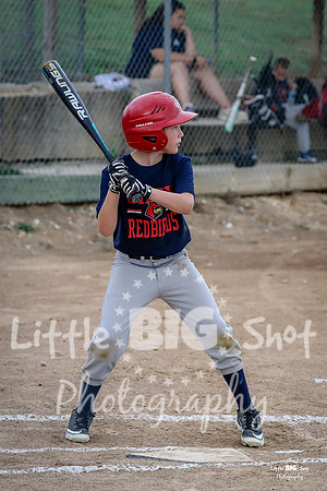 RedBirds-22