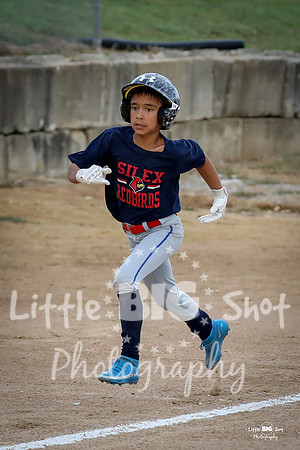 RedBirds-25