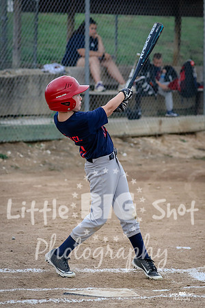 RedBirds-23