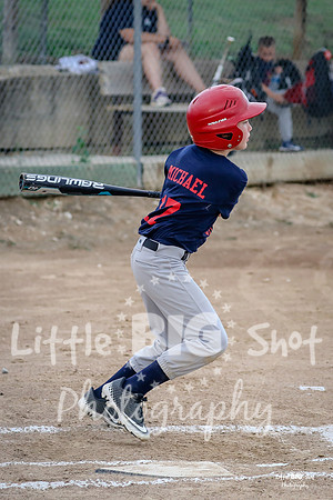 RedBirds-24