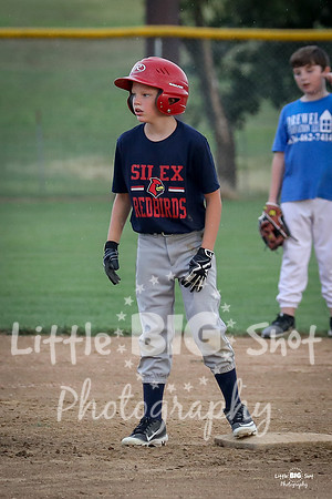 RedBirds-27