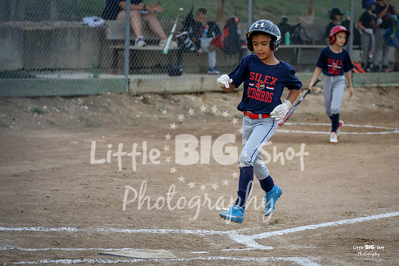 RedBirds-26