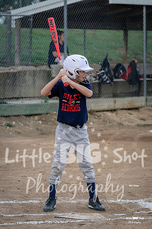 RedBirds-28