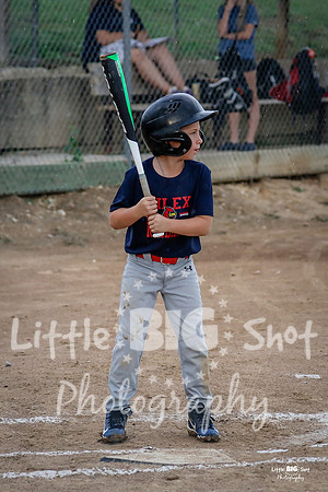 RedBirds-31