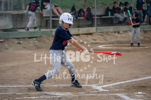 RedBirds-30
