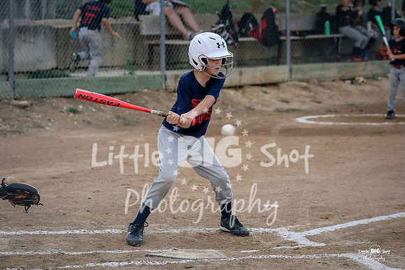 RedBirds-29