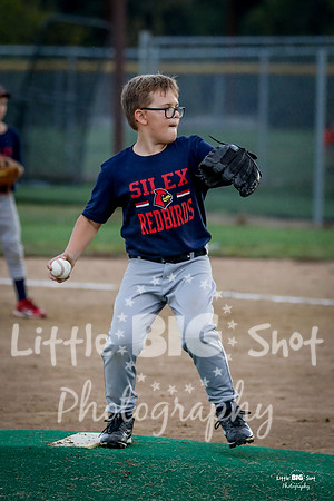 RedBirds-33