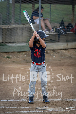 RedBirds-32