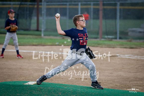 RedBirds-36